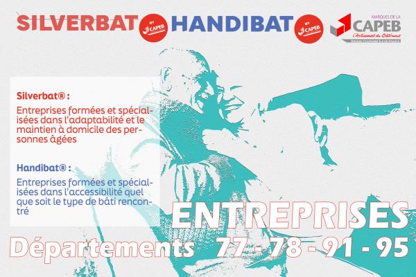 visuel Handibat Silverbat