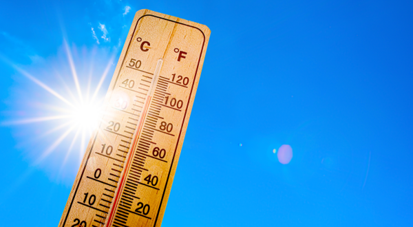 Canicule